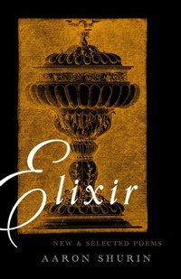 Enlarge image Cover: Elixir - Nightboat Books