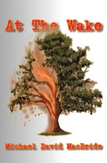 Cover: At The Wake - Salty Books Publishing Company, LLC