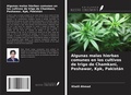Cover: Algunas malas hierbas comunes en los cultivos de trigo de Chamkani, Peshawar, Kpk, Pakist&aacute;n - Ediciones Nuestro Conocimiento