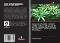 Cover: Alcune erbacce comuni delle colture di grano di Chamkani Peshawar Kpk Pakistan - Edizioni Sapienza