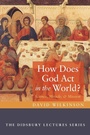Cover: How Does God ACT in the World? - Cascade Books