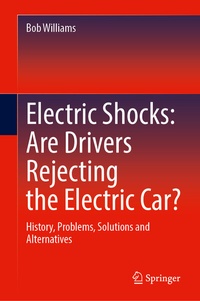 Abbildung von: Electric Shocks: Are Drivers Rejecting the Electric Car? - Springer