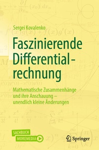 Enlarge image Cover: Faszinierende Differentialrechnung - Springer