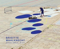 Abbildung von: Invisible Worlds - in situ - Schlebrügge.Editor