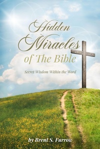 Abbildung von: Hidden Miracles of the Bible - Defiance Press and Publishing
