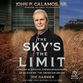 Cover: The Sky's the Limit - Ascent Audio