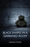 Cover: Black Shapes in a Darkened Room - Rebel Satori Press