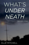 Cover: What's Underneath (Janes, #4) - Little Key Press