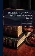 Bild: Diversion of Water From the Niagara River - Hutson Street Press