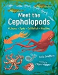 Cover: Meet the Cephalopods - Orca Book Publishers