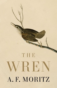 Enlarge image Cover: The Wren - House of Anansi Press Ltd ,Canada