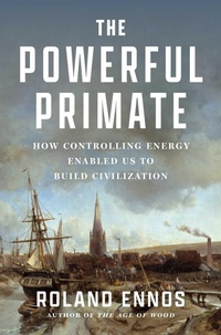 Enlarge image Cover: The Powerful Primate - Scribner