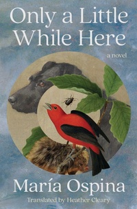 Abbildung von: Only a Little While Here - Scribner