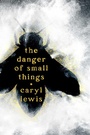 Cover: The Danger of Small Things - Atheneum Books for Young Readers