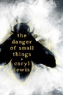 Cover: The Danger of Small Things - Atheneum Books for Young Readers