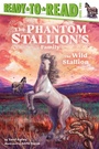 Cover: The Wild Stallion - Simon Spotlight
