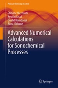 Bild: Advanced Numerical Calculations for Sonochemical Processes - Springer