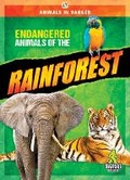 Cover: Endangered Animals of the Rainforest - Kaleidoscope Publishing, Inc