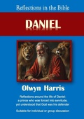 Cover: Reflections in the Bible Daniel - Reading Stones Publishing