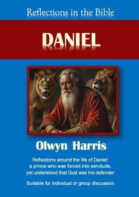 Enlarge image Cover: Reflections in the Bible Daniel - Reading Stones Publishing