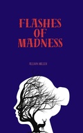 Cover: Flashes of Madness - Allison Miller