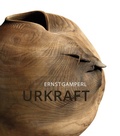 Cover: Ernst Gamperl - Arnoldsche