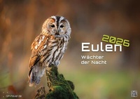 Abbildung von: Eulen - Wächter der Nacht - 2026 - Kalender DIN A3 - GP-Fever.de