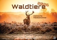 Abbildung von: Waldtiere - Heimische Waldbewohner - Der Tierkalender - 2026 - Kalender DIN A3 - GP-Fever.de