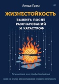 Cover: Zhiznestoykost. Vyzhit posle razocharovaniy i katastrof - Piter