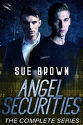 Cover: Angel Securities - Sue Brown