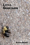 Cover: Little Graveyards - Roadside Press