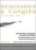 Cover: Geometric Methods in Group Theory - Societe mathematique de France