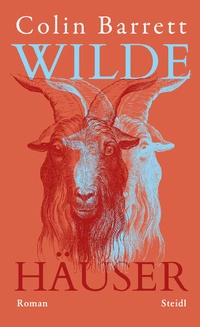 Enlarge image Cover: Wilde Häuser - Steidl