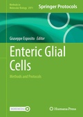 Abbildung von: Enteric Glial Cells - Humana