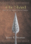 Cover: Seraphim Collective Chronicles - New Generation Publishing