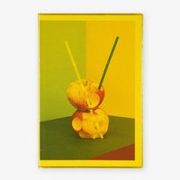 Enlarge image Cover: Balance Studies - Fotohofedition