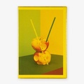 Cover: Balance Studies - Fotohofedition