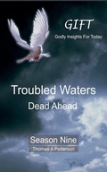 Cover: Troubled Waters Dead Ahead - Thomas A. Petterson
