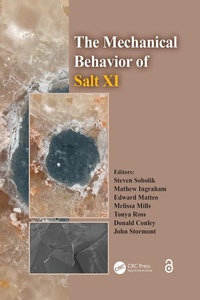 Abbildung von: The Mechanical Behavior of Salt XI - CRC Press