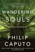 Cover: Wandering Souls - Arcade Publishing