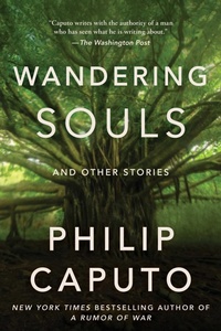 Enlarge image Cover: Wandering Souls - Arcade Publishing