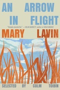 Cover: An Arrow in Flight - Scribner
