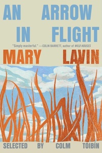 Enlarge image Cover: An Arrow in Flight - Scribner