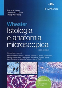 Abbildung von: Wheater. Istologia e anatomia microscopica - Edra Masson