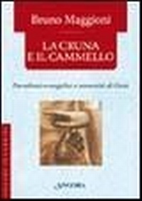 Abbildung von: La cruna e il cammello. Percorsi evangelici e umanità di Gesù - In cammino;Ancora