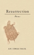 Cover: Resurrection - Minnesota State University, Mankato