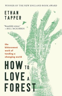Enlarge image Cover: How to Love a Forest - Broadleaf Books