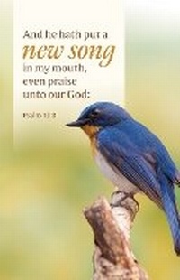 Abbildung von: General Worship Bulletin: He Hath Put (Package of 100) - Broadman Church Supplies