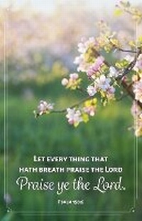 Abbildung von: General Worship Bulletin: Let Every Thing (Package of 100) - Broadman Church Supplies