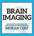 Cover: Brain Imaging - Mindcraft